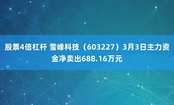 股票4倍杠杆 雪峰科技（603227）3月3日主力资金净卖出688.16万元
