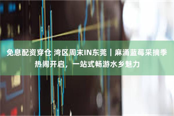 免息配资穿仓 湾区周末IN东莞｜麻涌蓝莓采摘季热闹开启，一站式畅游水乡魅力