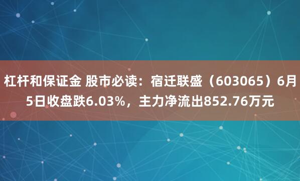 杠杆和保证金 股市必读：宿迁联盛（603065）6月5日收盘跌6.03%，主力净流出852.76万元