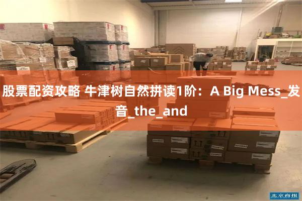 股票配资攻略 牛津树自然拼读1阶：A Big Mess_发音_the_and