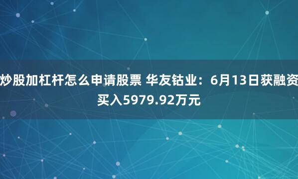炒股加杠杆怎么申请股票 华友钴业：6月13日获融资买入5979.92万元