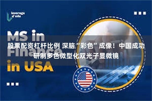 股票配资杠杆比例 深脑“彩色”成像！中国成功研制多色微型化双光子显微镜
