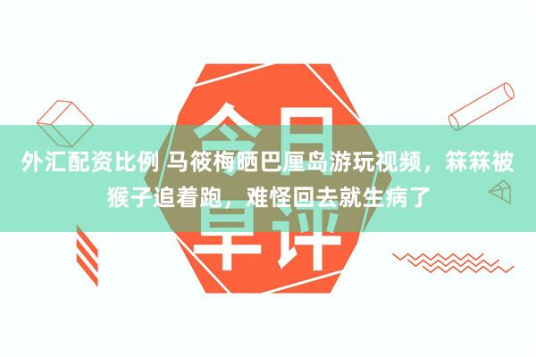 外汇配资比例 马筱梅晒巴厘岛游玩视频，箖箖被猴子追着跑，难怪回去就生病了