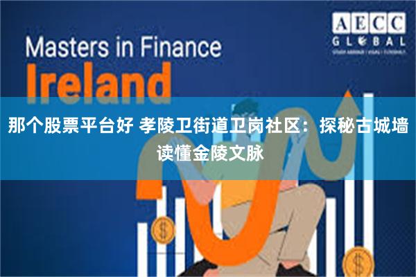 那个股票平台好 孝陵卫街道卫岗社区:探秘古城墙 读懂金陵文脉