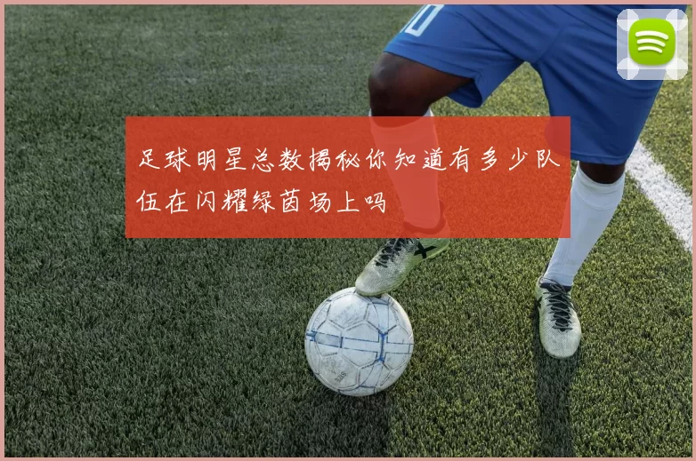 足球明星总数揭秘你知道有多少队伍在闪耀绿茵场上吗