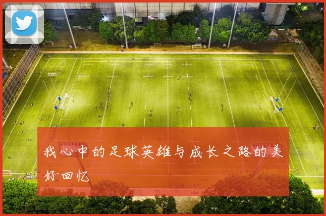 我心中的足球英雄与成长之路的美好回忆