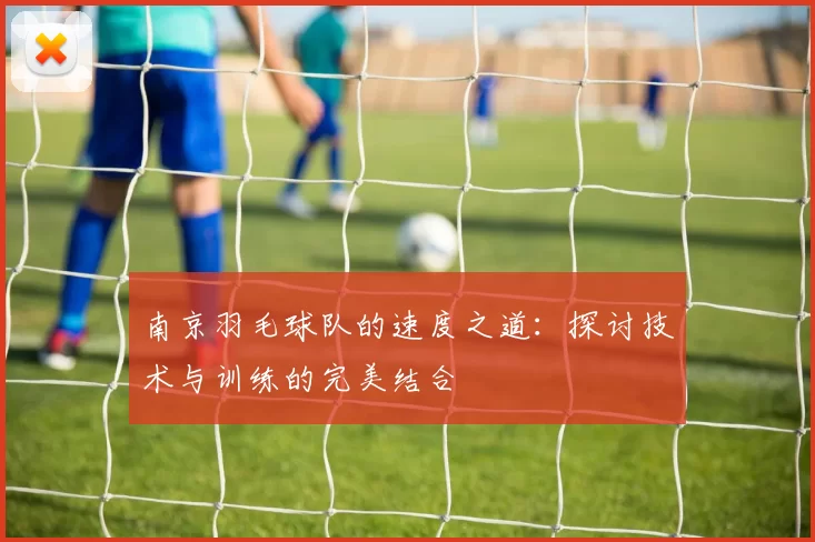 南京羽毛球队的速度之道：探讨技术与训练的完美结合