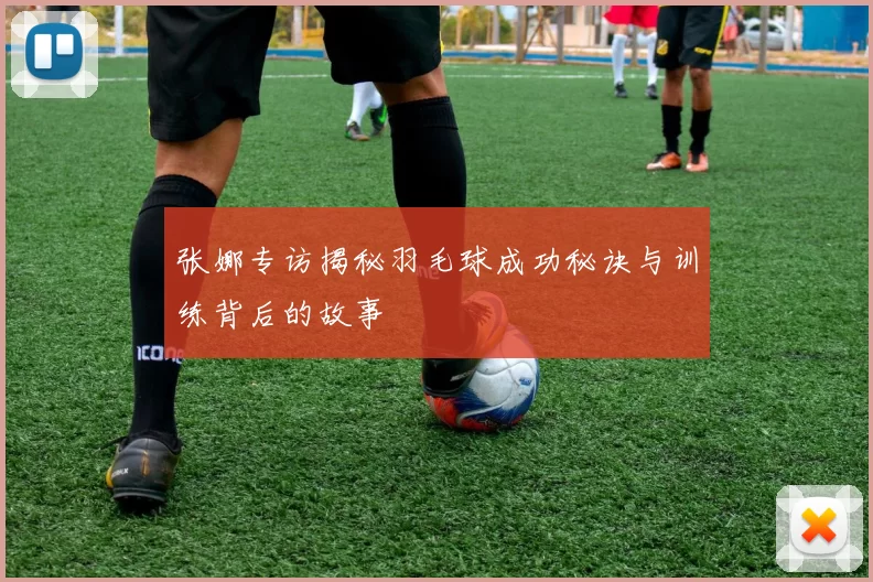 张娜专访揭秘羽毛球成功秘诀与训练背后的故事