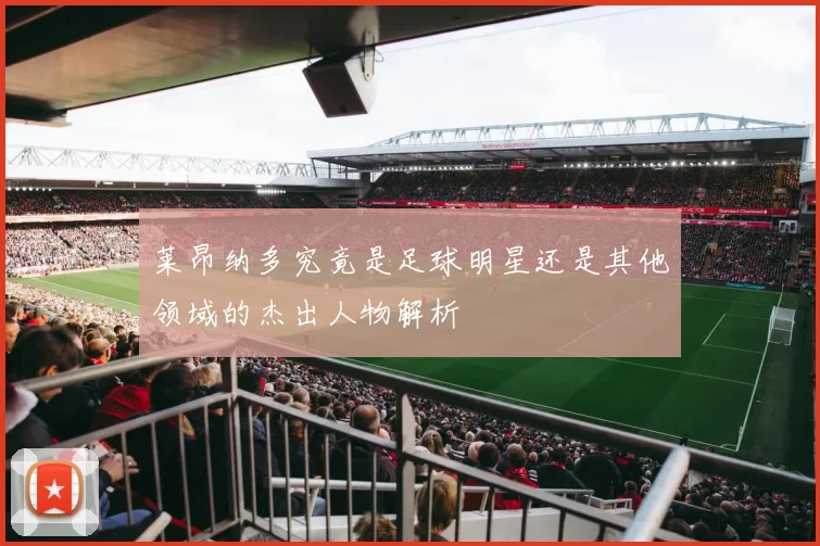 莱昂纳多究竟是足球明星还是其他领域的杰出人物解析