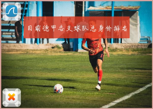 目前德甲各支球队总身价排名