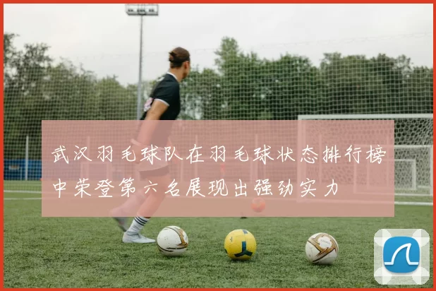 武汉羽毛球队在羽毛球状态排行榜中荣登第六名展现出强劲实力