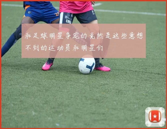 和足球明星争宠的竟然是这些意想不到的运动员和明星们