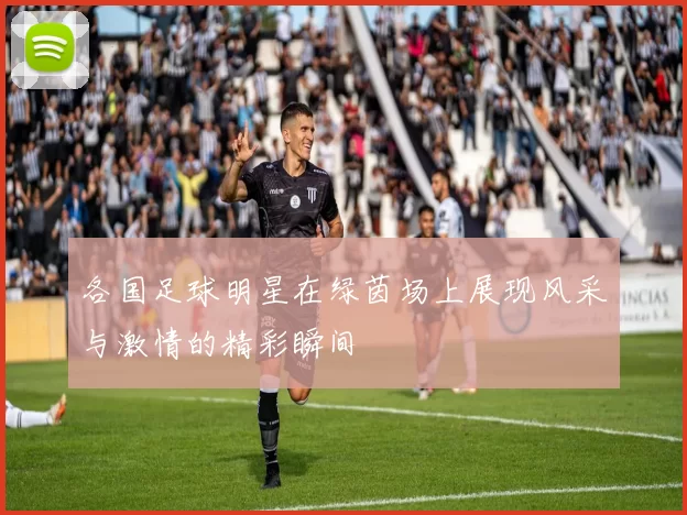 各国足球明星在绿茵场上展现风采与激情的精彩瞬间