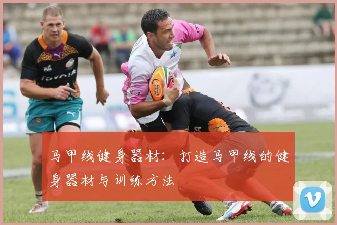 马甲线健身器材：打造马甲线的健身器材与训练方法