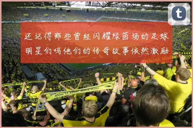 还记得那些曾经闪耀绿茵场的足球明星们吗他们的传奇故事依然激励着我们