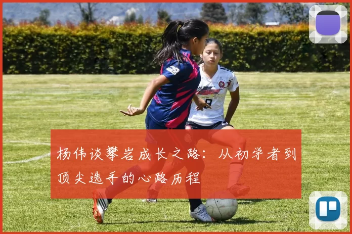 杨伟谈攀岩成长之路：从初学者到顶尖选手的心路历程