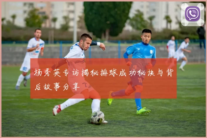 杨秀英专访揭秘排球成功秘诀与背后故事分享