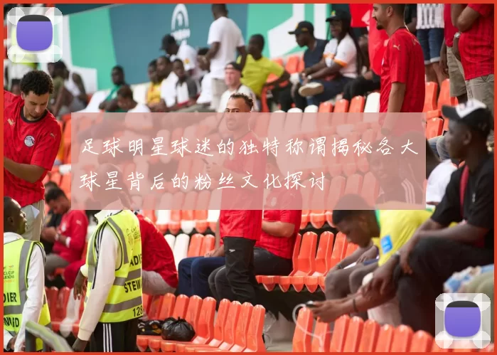 足球明星球迷的独特称谓揭秘各大球星背后的粉丝文化探讨