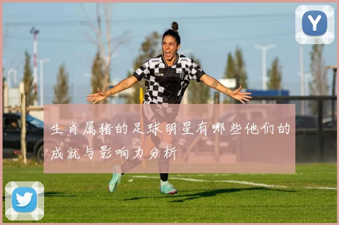 生肖属猪的足球明星有哪些他们的成就与影响力分析
