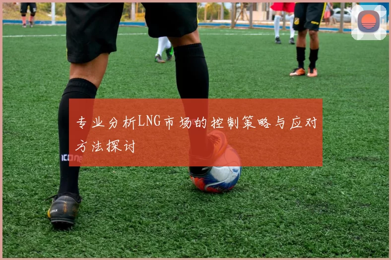 专业分析LNG市场的控制策略与应对方法探讨