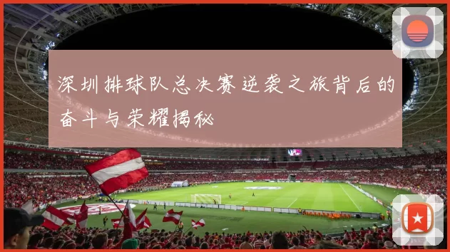 深圳排球队总决赛逆袭之旅背后的奋斗与荣耀揭秘