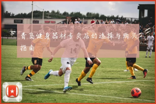 青岛健身器材专卖店的选择与购买指南