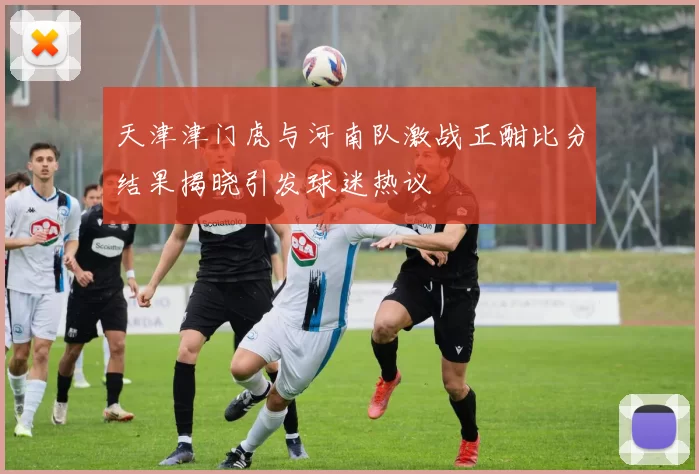 天津津门虎与河南队激战正酣比分结果揭晓引发球迷热议