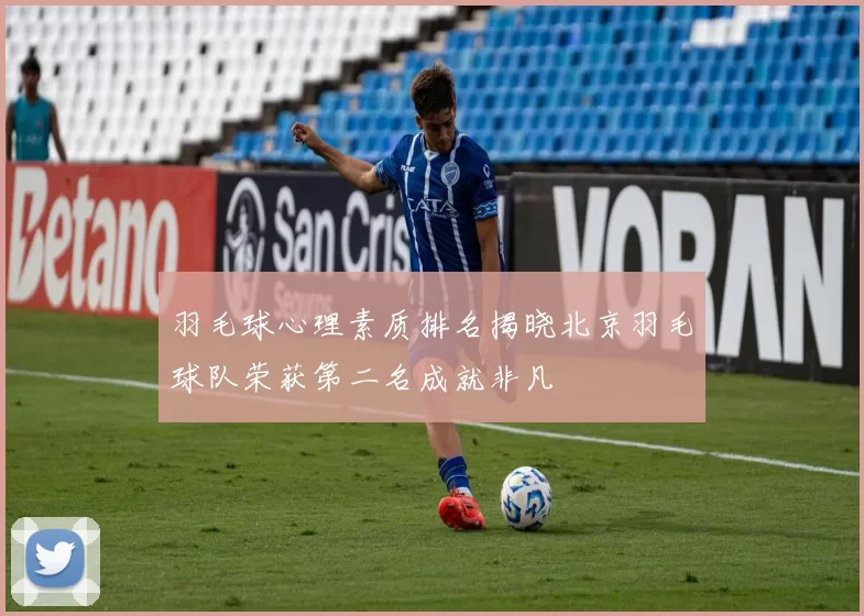羽毛球心理素质排名揭晓北京羽毛球队荣获第二名成就非凡