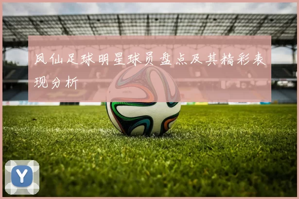 凤仙足球明星球员盘点及其精彩表现分析