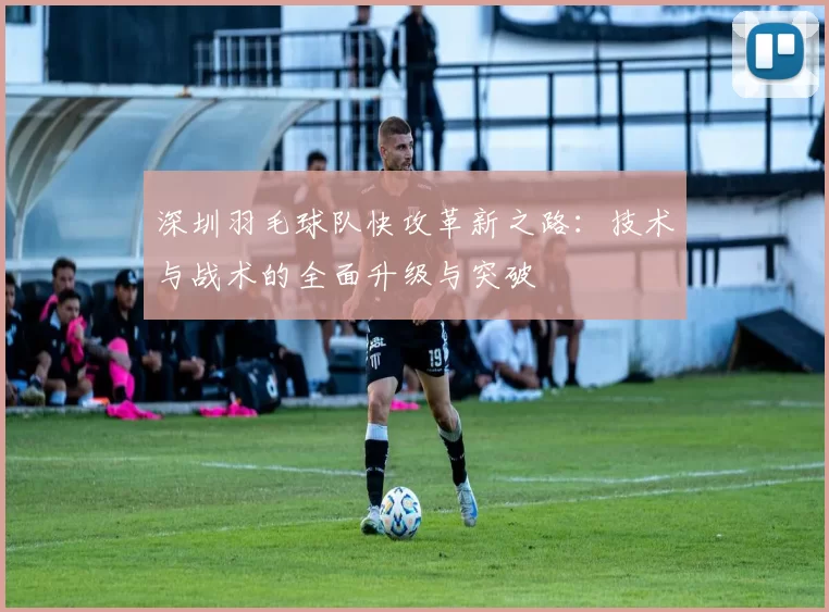 深圳羽毛球队快攻革新之路：技术与战术的全面升级与突破